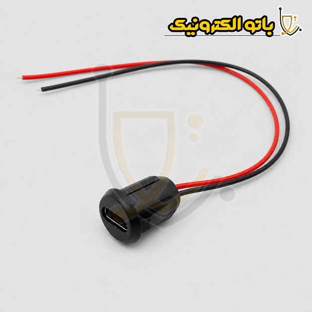  خرید سوکت USB Type-C مادگی سیم‌دار | کانکتور تایپ C پنلی دو سیمه 